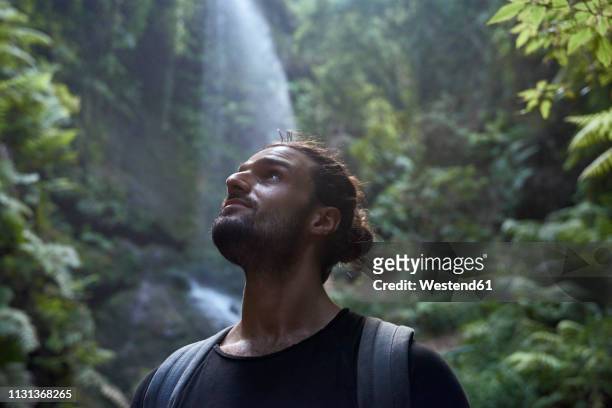 spain, canary islands, la palma, close-up of bearded man near a waterfall in the forest - awe stock pictures, royalty-free photos & images
