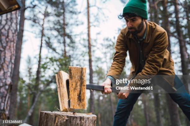 man chopping wood in rural landscape - legna da ardere foto e immagini stock