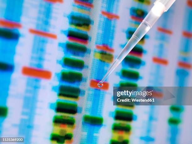 dna sample in a pipette with the results on a computer sceeen in a laboratory - drug evaluation stock pictures, royalty-free photos & images