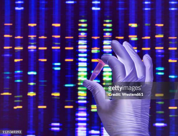 scientist holding a dna sample with the results on a computer sceeen in a laboratory - medical sample - fotografias e filmes do acervo