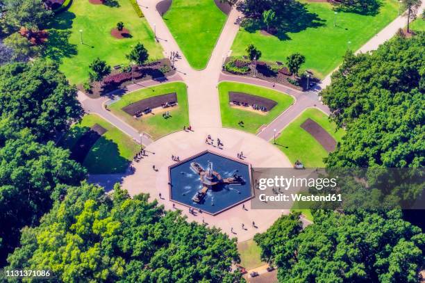 australia, new south wales, sydney, cityview - hyde park sydney stock pictures, royalty-free photos & images