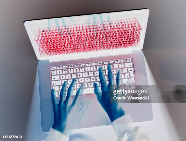 hands of hacker coding computer virus on laptop - scheme stock pictures, royalty-free photos & images