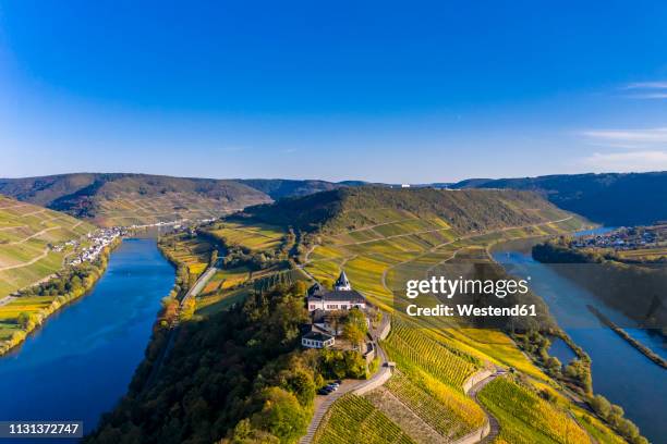 germany, rhineland-palatinate, vineyards and marienburg near puenderich, moselle river - moseltal stock pictures, royalty-free photos & images