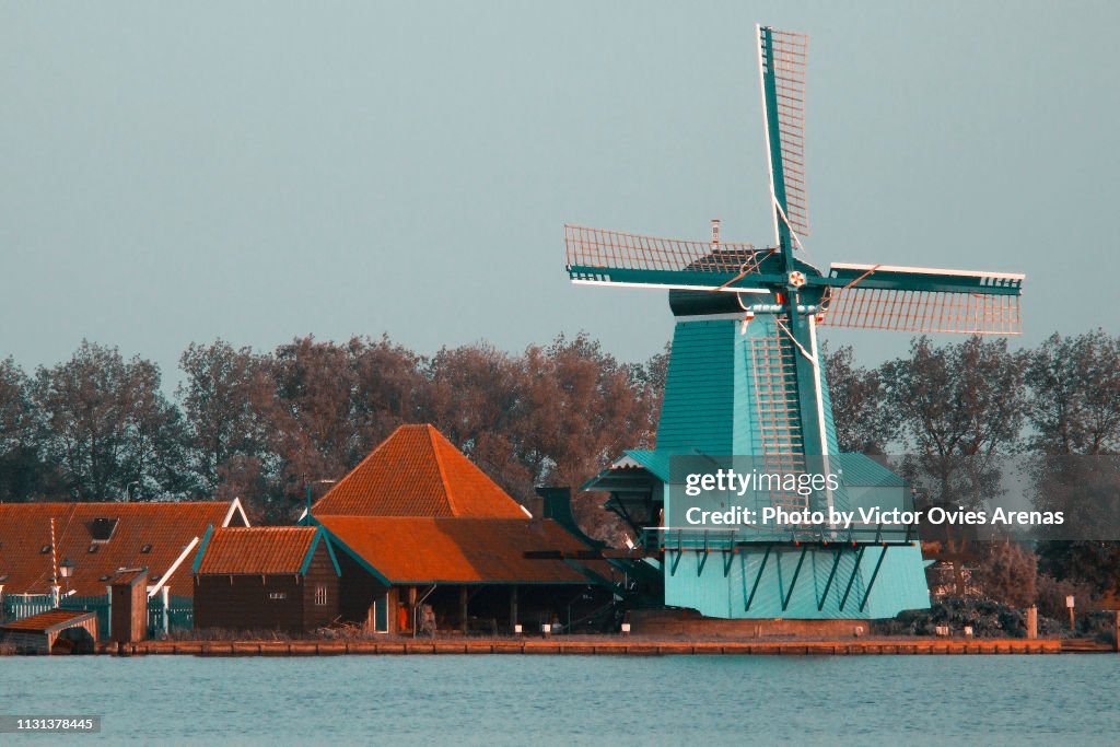 Windmill and houses. Traditional Dutch landscape in Zaanse Schans, Netherlands