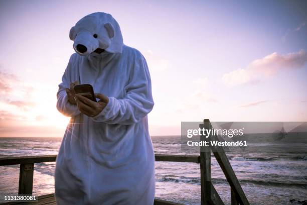 denmark, nordjuetland, man wearing ice bear costume at the beach, using smartphone - animal costume stock-fotos und bilder