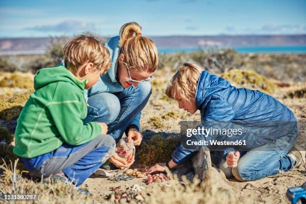 Kid Collecting Rocks 558 Kids Collecting Rocks Stock Photos, High-Res Pictures, and Images ...