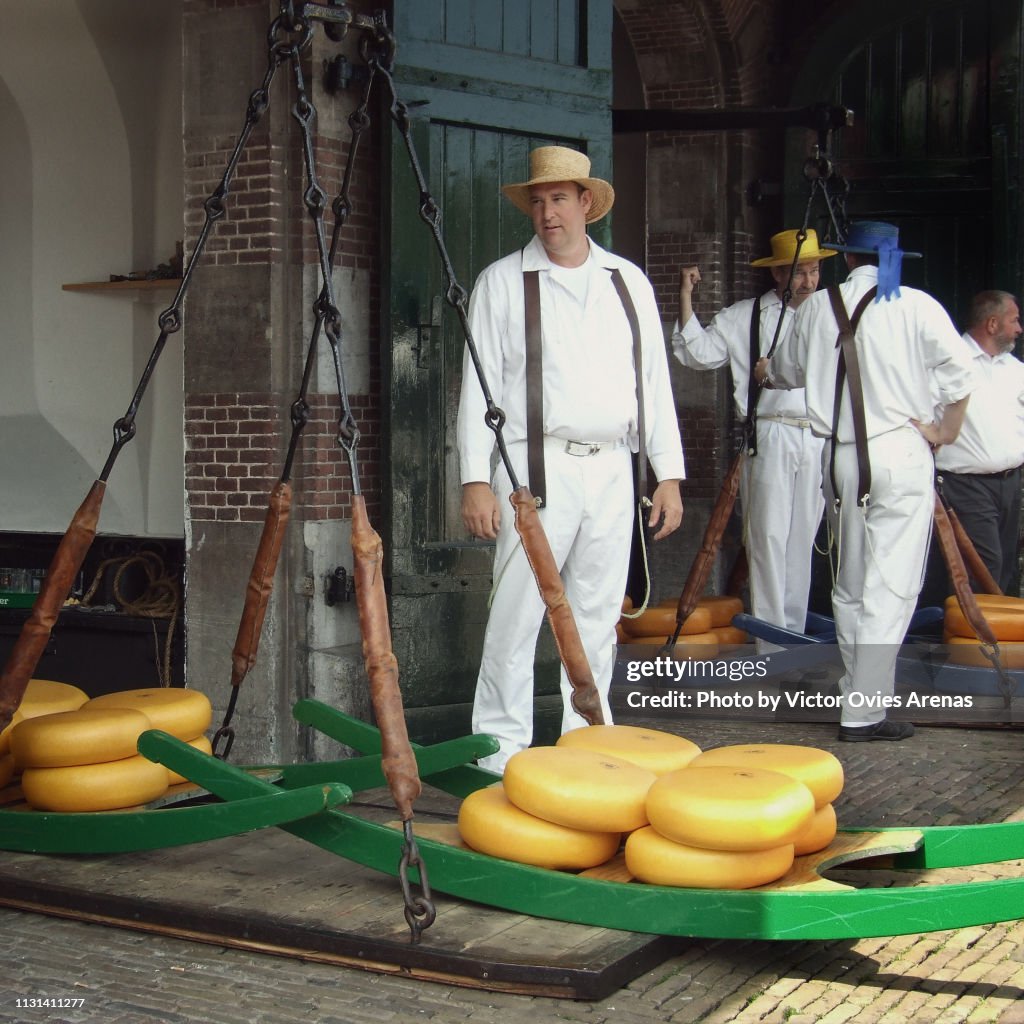 Men weighing cheese at Cheese Market in Alkmaar's main square in the Netherlands