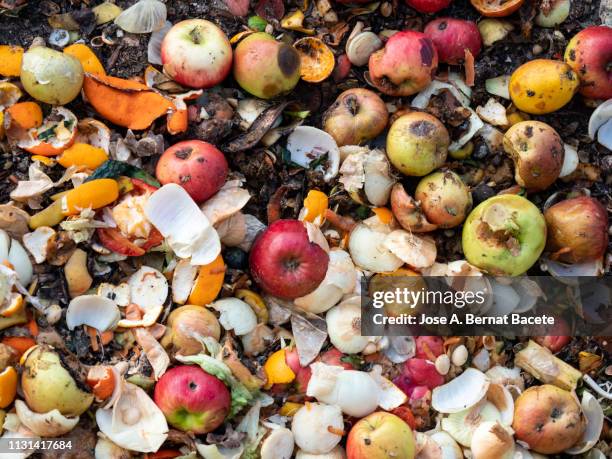 dump of organic garbages with remains of fruits and bread in decomposition. - ゴミ捨て場 ストックフォトと画像