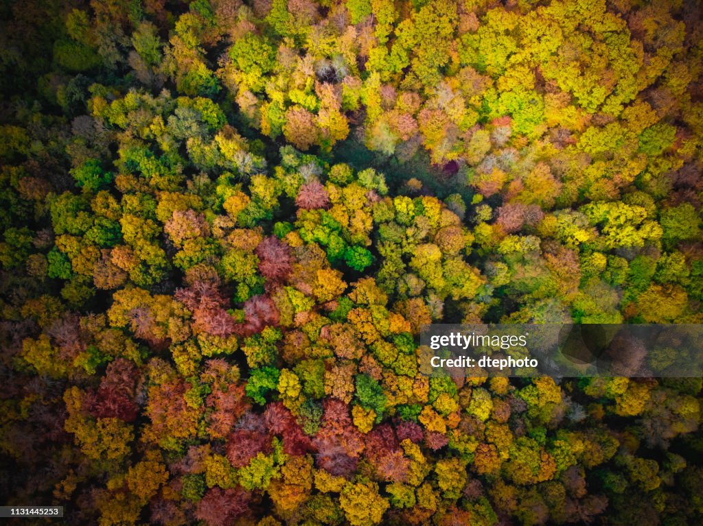 Vue de dessus de la route rurale en gris jour d'automne
