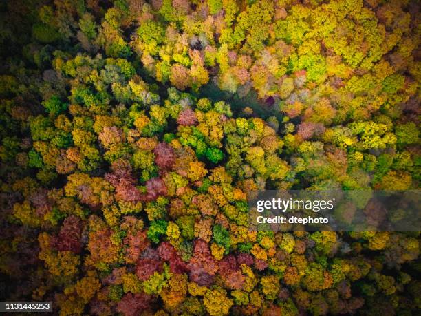 bovenaanzicht van rural road in gray herfst dag - bovenkleding stockfoto's en -beelden