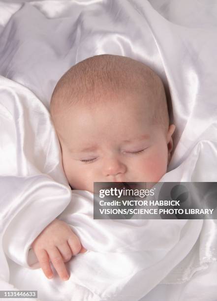 sleeping baby boy - week seven stock pictures, royalty-free photos & images