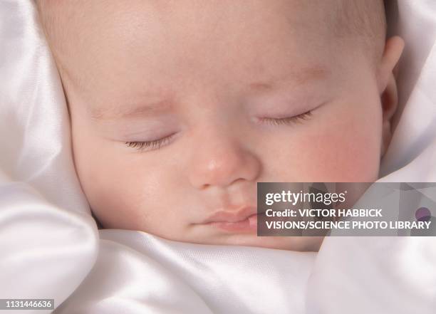 sleeping baby boy - week seven stock pictures, royalty-free photos & images