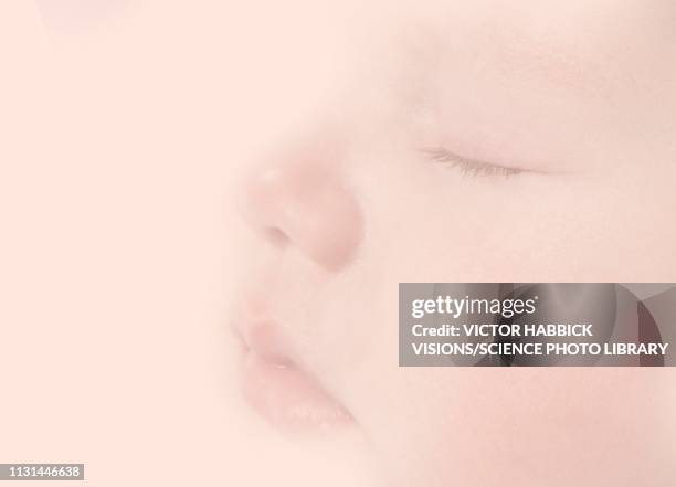 sleeping baby boy - week seven stock pictures, royalty-free photos & images