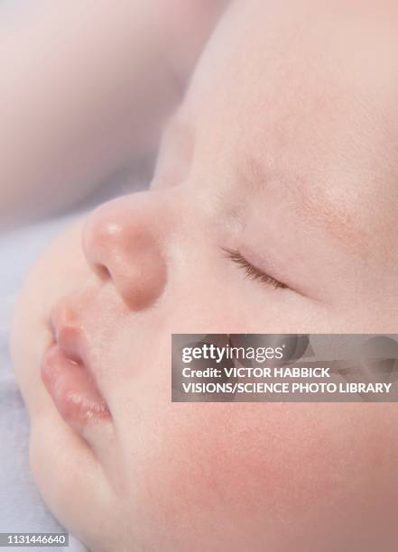 sleeping baby boy - week seven stock pictures, royalty-free photos & images