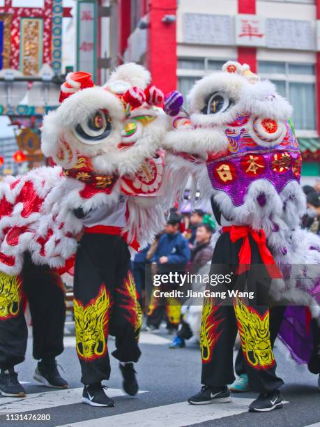 lion dancing performance at lunar new year celebration in yokohama chinatown - yokohama chinatown stock pictures, royalty-free photos & images