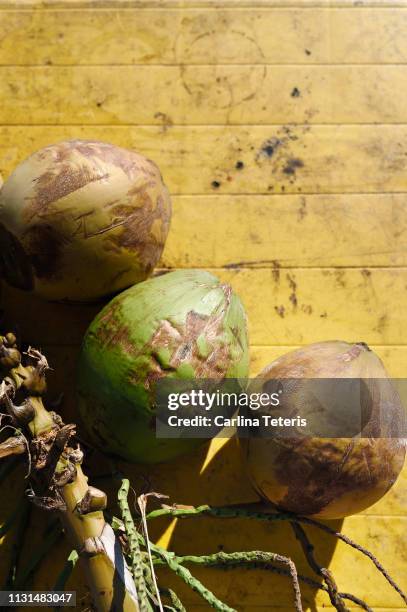 coconuts on a rustic yellow table - langkawi stock-fotos und bilder