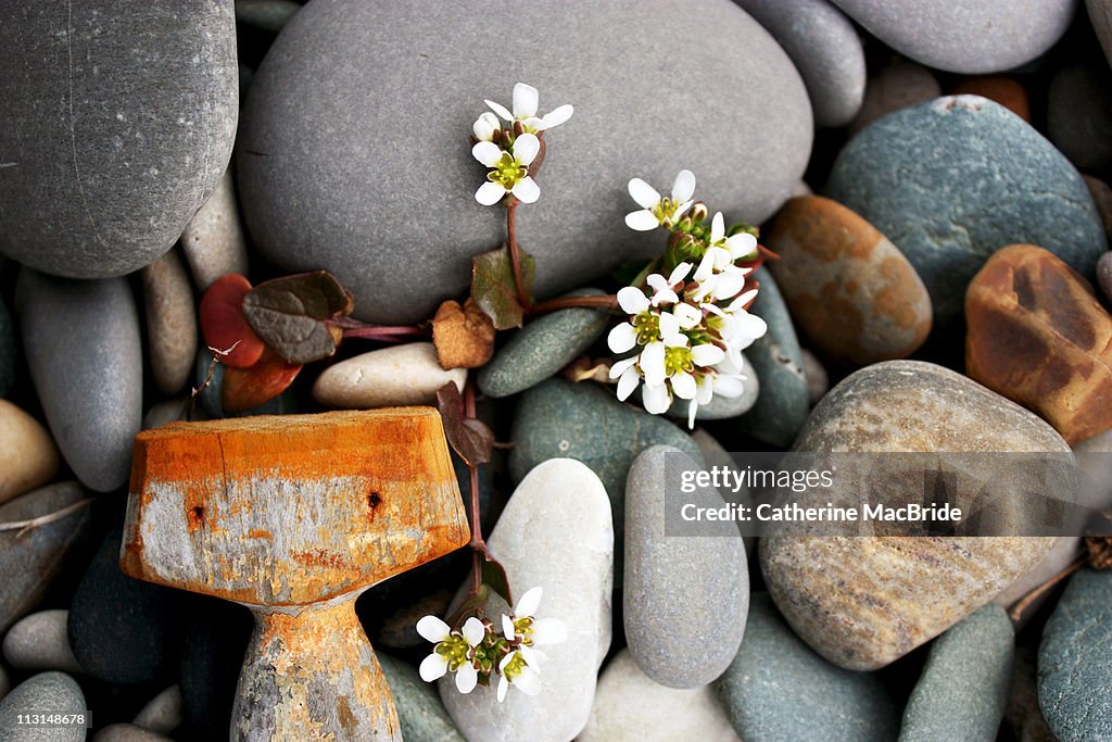 Beachcombing