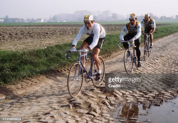 Le cycliste français Bernard Hinault, champion du monde en 1980, mène sur les pavés du Nord, la fameuse course Paris-Roubaix le 12 avril 1981.