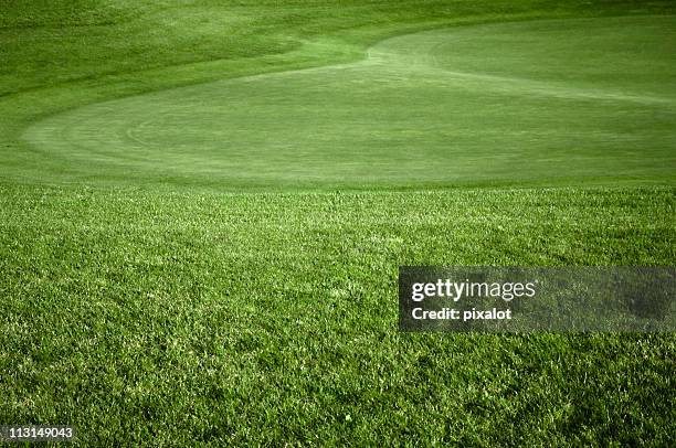 golf verde - green de golfe imagens e fotografias de stock