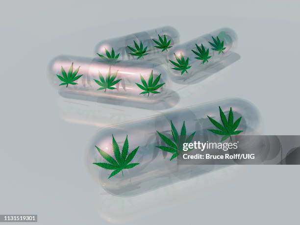 marijuana leaf in capsule - arrest stock-grafiken, -clipart, -cartoons und -symbole