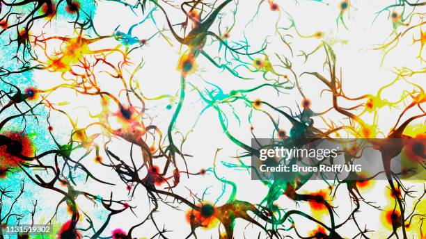 brain cells with electrical firing - body concern stock illustrations