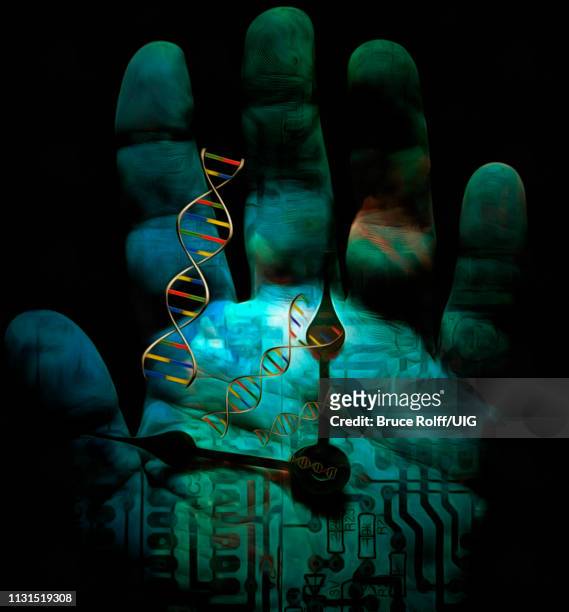 human's palm with clock hands and dna chains, electronic circuit on a background. - minute hand stock-grafiken, -clipart, -cartoons und -symbole