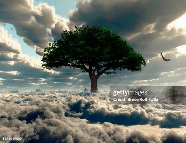 green tree on a field of clouds. eagle in the sky. - endless time stock illustrations