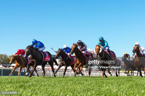 Lyre Racing Track 188,995 Australia Day Race Stock Photos, High-Res Pictures, and Images ...