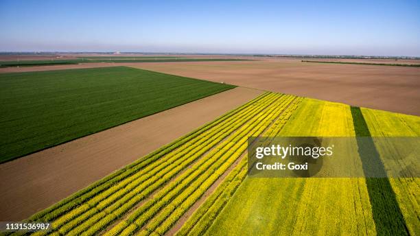 aerial view agricultural field - brassica rapa stock pictures, royalty-free photos & images