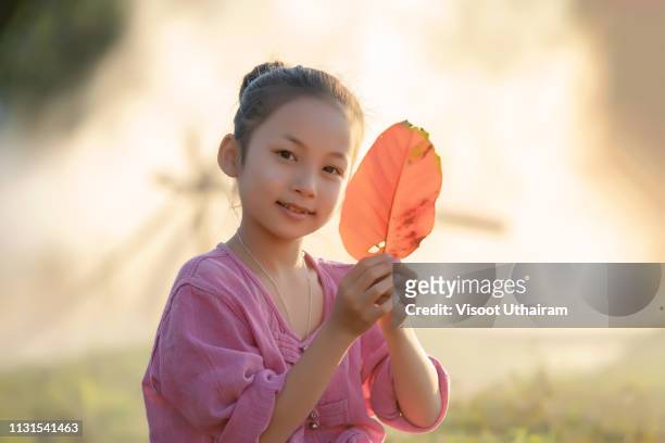 lifestyle of southeast asian people,children in the field countryside - child trafficking stockfoto's en -beelden