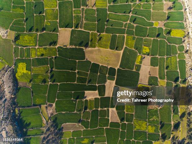 ariel view of fields - patchwork landscape stock pictures, royalty-free photos & images