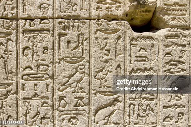 egyptian hieroglyphs at dendera temple - icona monumenti foto e immagini stock