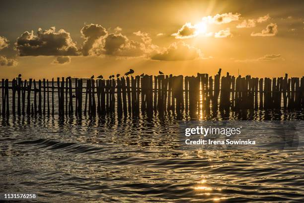 spettacolare tramonto - imbrunire - fotografias e filmes do acervo