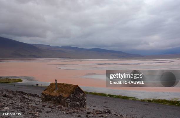 little house red lagoon bolivia - admirer le paysage stockfoto's en -beelden