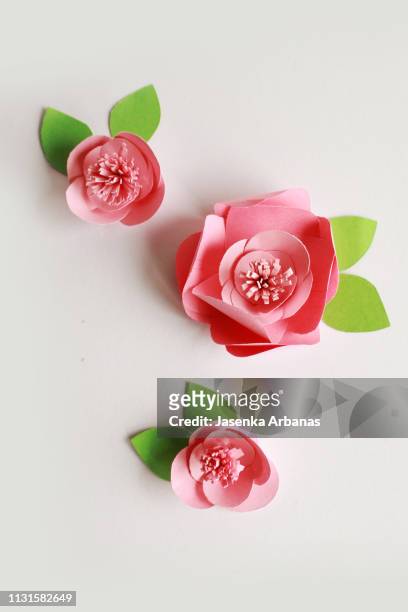 paper flowers - paper flower stock pictures, royalty-free photos & images