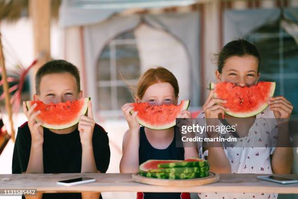 kinderen eten watermeloen op strand vakantie - bulgarije stockfoto's en -beelden