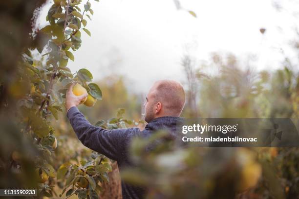 Brandy Work Brandy Farmer Photos and Premium High Res Pictures - Getty Images