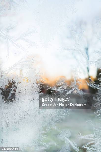 morning frost on window - autumn frost stock pictures, royalty-free photos & images