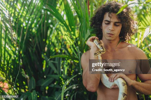 93 Python Anywhere Stock Photos, High-Res Pictures, and Images - Getty ...