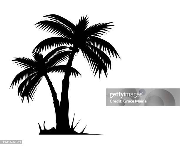 tropical palm tree or coconut tree silhouette - tourism logo stock illustrations