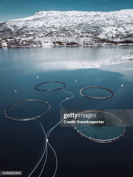 fish farm in norway - norwegian culture stock pictures, royalty-free photos & images