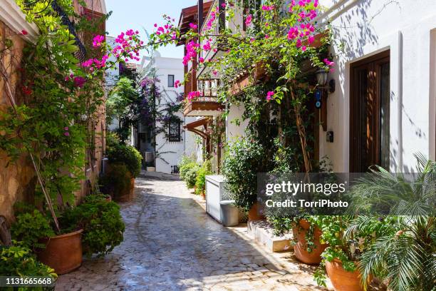 beautiful street of old town in turkey with flower pots and floral plants - bougainville stockfoto's en -beelden