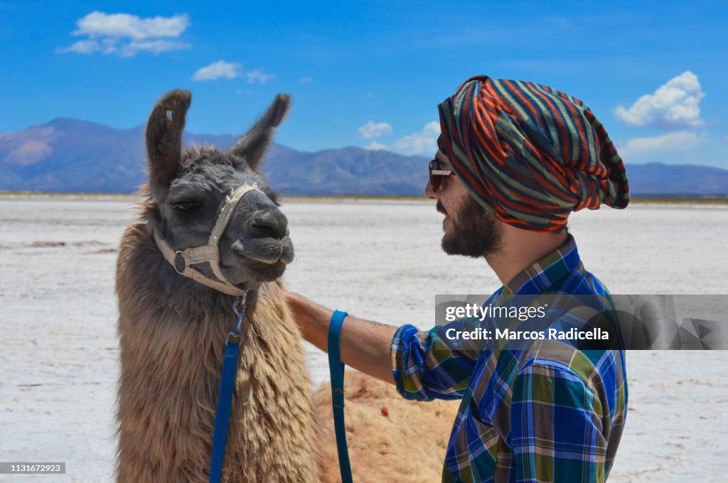 Meeting a lama in Salta Province, Puna Desert, Argentina