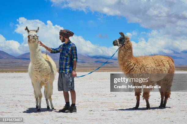 salta province, puna desert, argentina - salinas grandes stockfoto's en -beelden