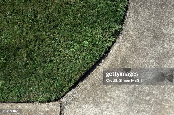 lawn and concrete footpath - lush backyard stock pictures, royalty-free photos & images