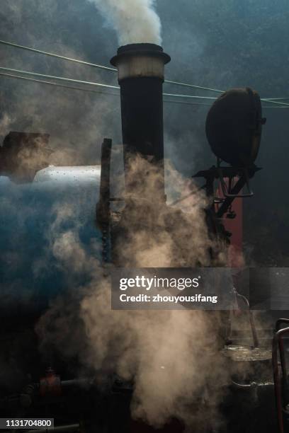 the himalaya railway in the darjeeling, india - darjeeling stock pictures, royalty-free photos & images