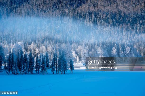 china kuitun snow mountain, xinjiang, china - 陸地 photos et images de collection