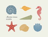 Silhouettes of sea shells, seahorse and starfish