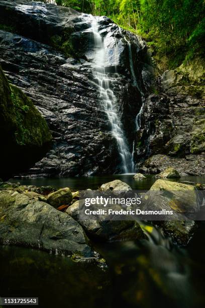 yahoue falls - forêt pluviale stock-fotos und bilder