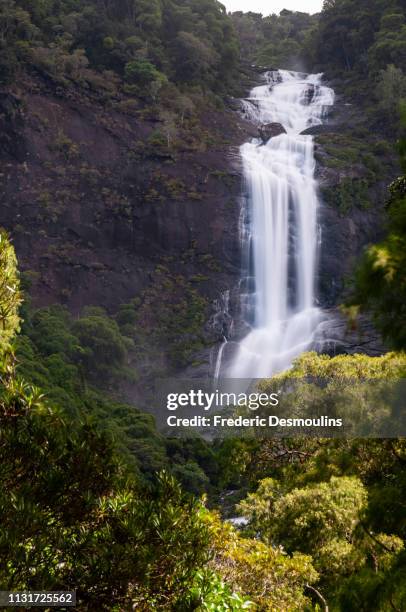 tao falls - forêt pluviale stock-fotos und bilder